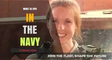 Understanding the Role of a Chief Petty Officer in the Navy