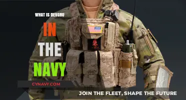 Unveiling DEVGRU: The Elite Navy SEALs' Covert Operations Unit