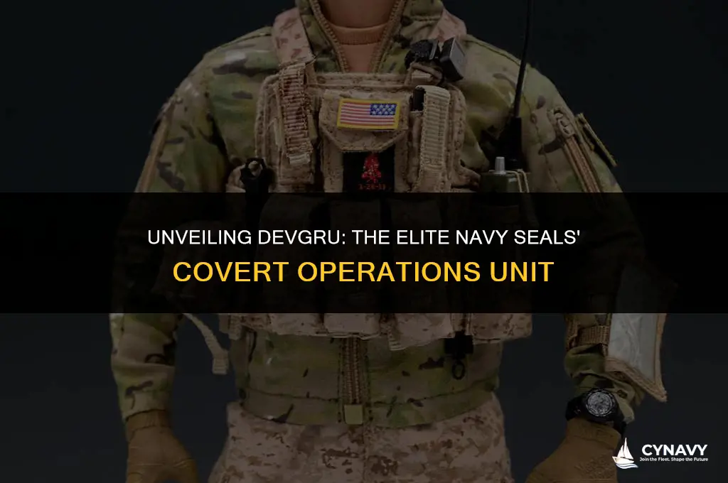 what is devgru in the navy