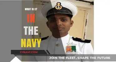 Decoding the E7 Rank: A Comprehensive Guide to Navy Petty Officers
