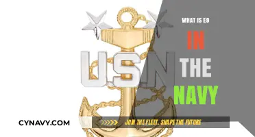 Decoding the E9 Rank: A Deep Dive into Navy Enlisted Leadership