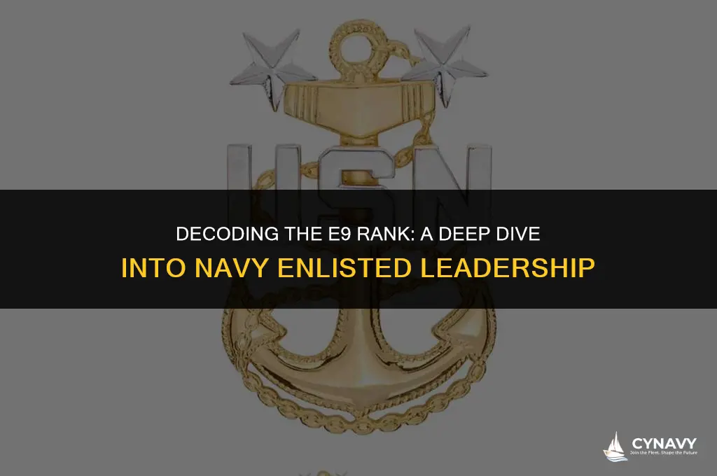 what is e9 in the navy