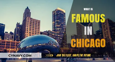 Exploring Chicago's Iconic Landmarks and Cultural Treasures