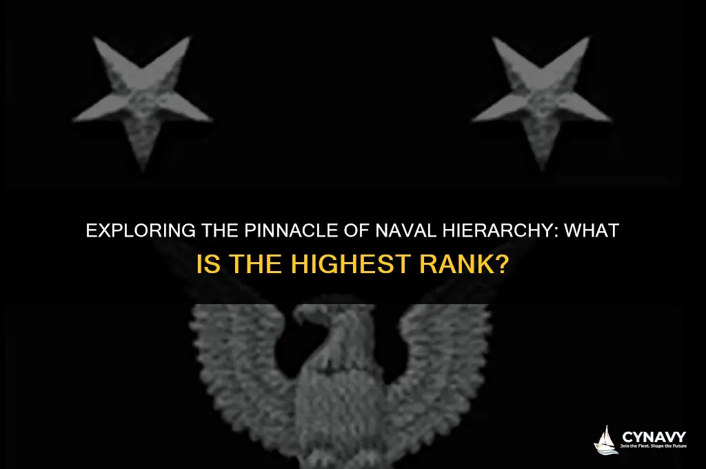 what is highest rank in navy