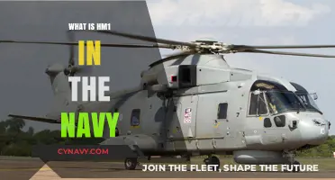 Decoding Navy Jargon: What Does HM1 Stand For?