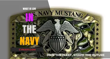 Understanding LDO: A Crucial Role in the Navy's Structure