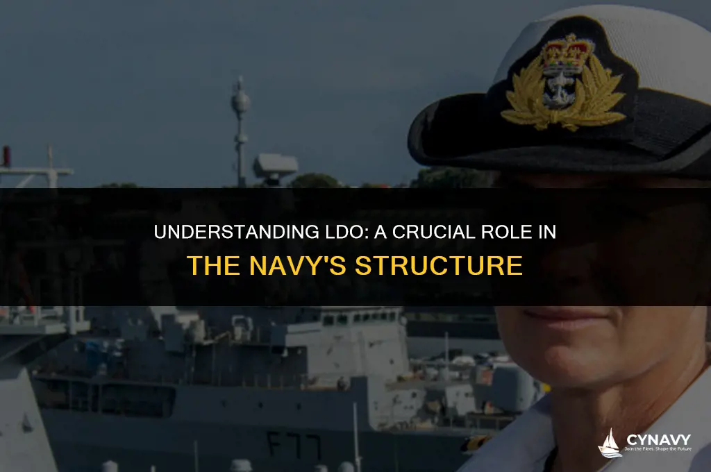 what is ldo in the navy