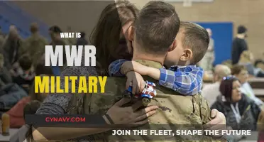 Understanding MWR: The Heart of Military Community Support