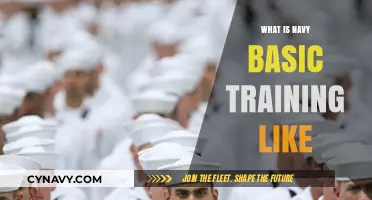 Exploring the Rigors and Rewards of Navy Basic Training