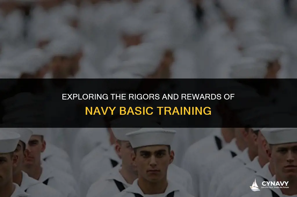 what is navy basic training like