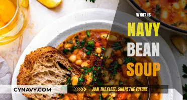 Exploring the Depths of Flavor: Navy Bean Soup Unveiled
