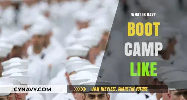 Unveiling the Realities of Navy Boot Camp: A Comprehensive Guide