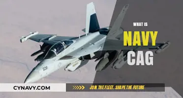 Decoding the Role of a Navy CAG: Responsibilities and Insights