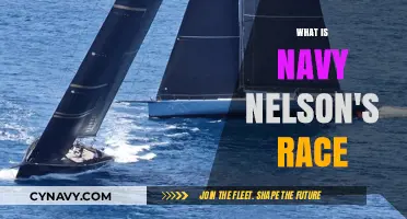 Exploring the Racial Background of Navy Nelson: A Comprehensive Look