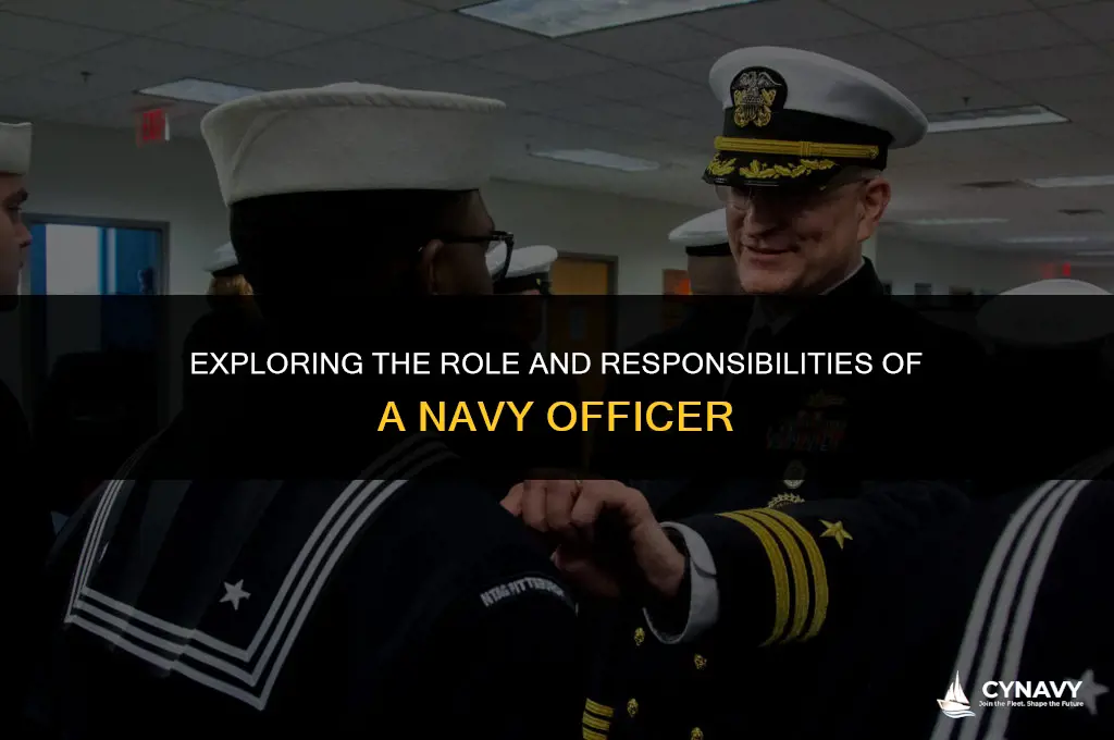 what is navy officer