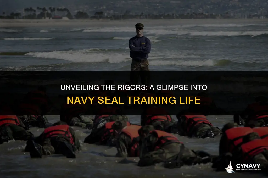 what is navy seal training like