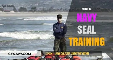 Unveiling the Rigors of Navy SEAL Training: A Comprehensive Guide