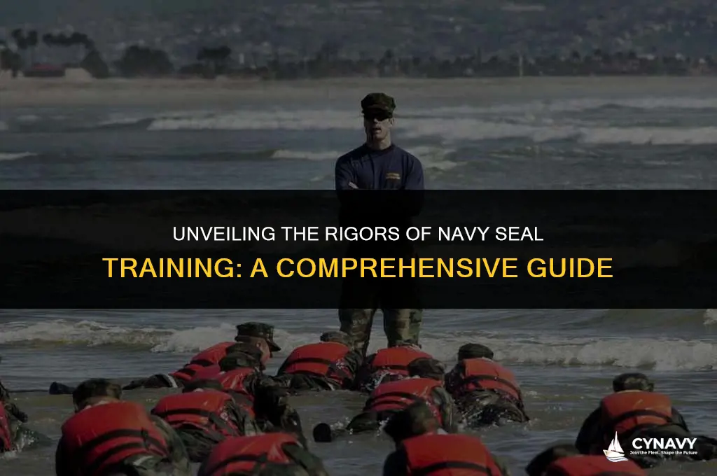 what is navy seal training