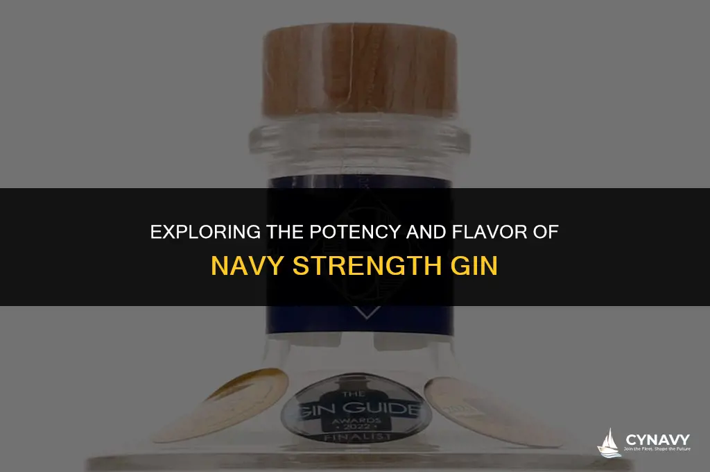 what is navy strength gin
