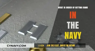 Understanding the Navy Rank Structure: A Step-by-Step Progression Guide
