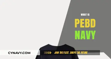 Understanding PEBD in the Navy: A Comprehensive Guide