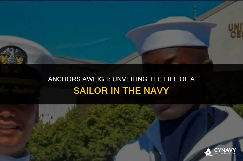 what is sailor in navy