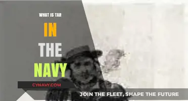 Unveiling the Role of Tar in the Navy: A Comprehensive Guide