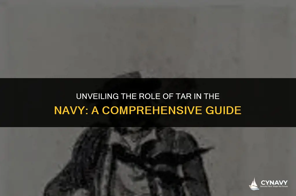 what is tar in the navy