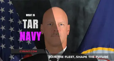 Exploring the Depths: What is Tar Navy?