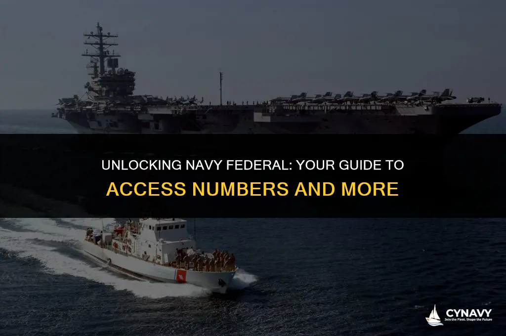 what is the access number for navy federal
