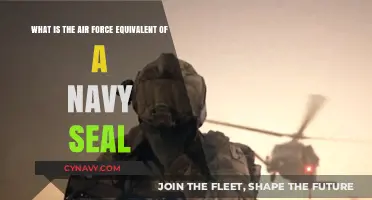 Elite Air Force Units: The Sky's Answer to Navy SEALs