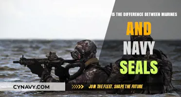Elite Warriors: Unveiling the Distinctions Between Marines and Navy SEALs