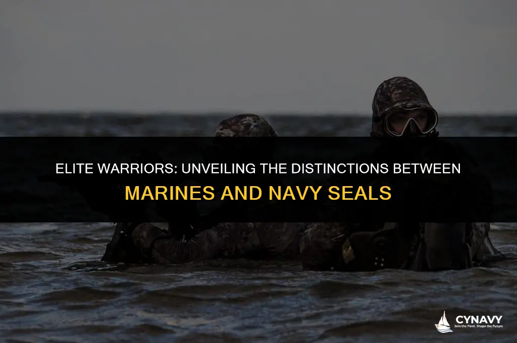 what is the difference between marines and navy seals