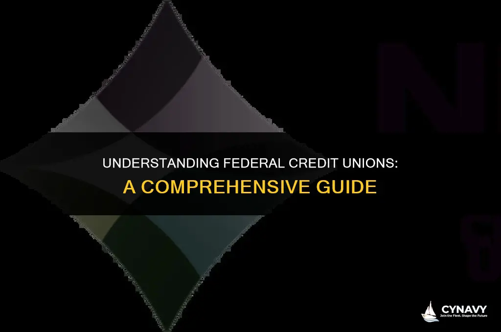 what is the federal credit union