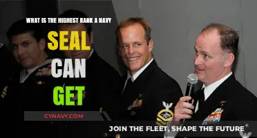 Navy SEALs' Peak Rank: Unveiling the Highest Achievable Position