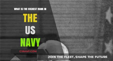 Understanding the US Navy's Highest Rank: Fleet Admiral Explained