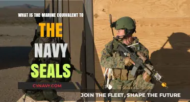 Elite Ocean Warriors: Unveiling the Marine Corps' Special Forces