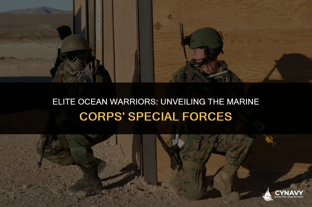 what is the marine equivalent to the navy seals