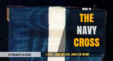 Valor at Sea: Understanding the Navy Cross and Its Significance