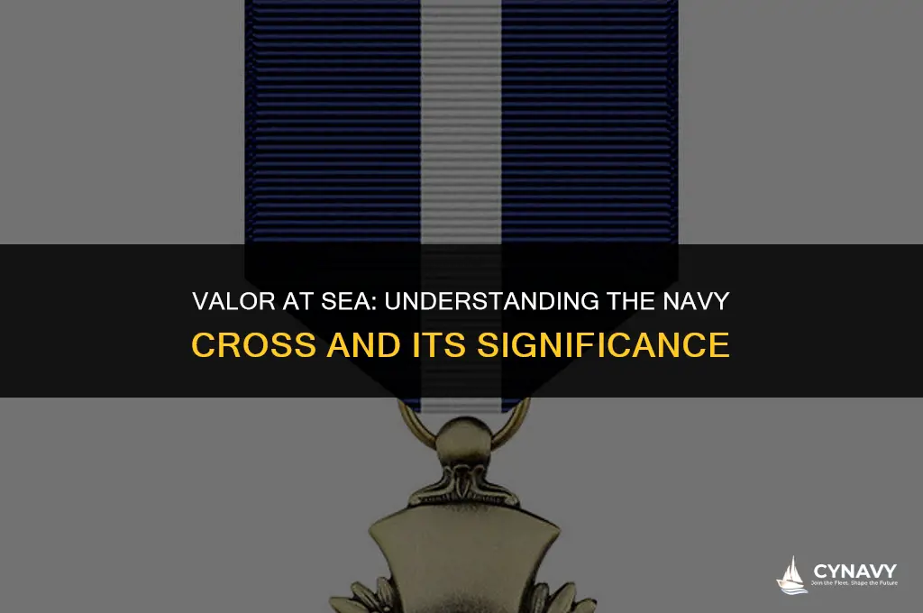 what is the navy cross