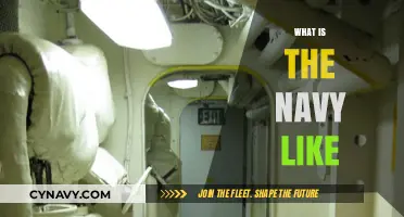 Exploring the Depths: An Insider's Guide to Navy Life