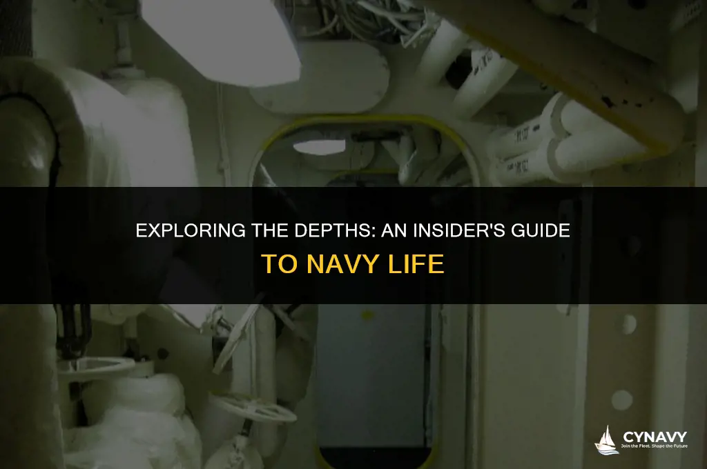 what is the navy like