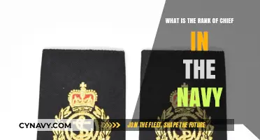 Understanding the Chief's Rank in the Navy: Hierarchy and Responsibilities