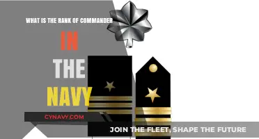 Understanding the Role and Rank of Commander in the Navy