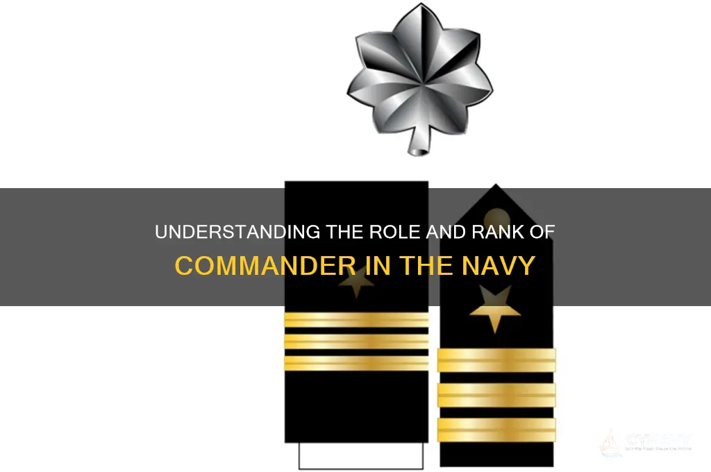 what is the rank of commander in the navy