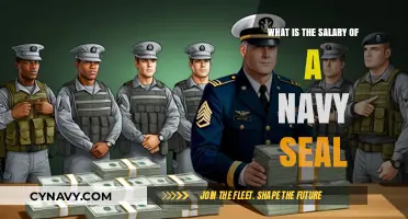 Unveiling the Lucrative Career of a Navy SEAL: Salary Insights