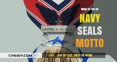 Valor, Honor, Devotion: Unveiling the US Navy SEALs' Motto