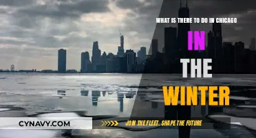 Chicago Winter Wonders: Exciting Activities to Enjoy in the Cold