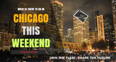 Exciting Weekend Activities and Events to Enjoy in Chicago Now