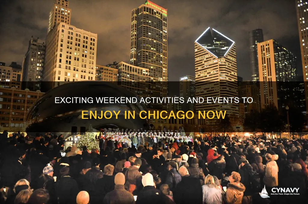 what is there to do in chicago this weekend